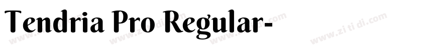 Tendria Pro Regular字体转换